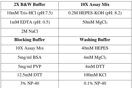 Table 2.1: Immobilized template recruitment assay using streptavidin Dynabeads  buffers 
