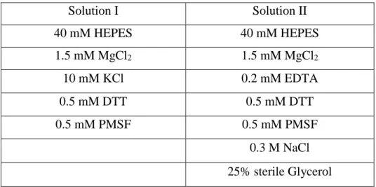 Table 2.3: Solutions for nuclear extract from HeLa cells 