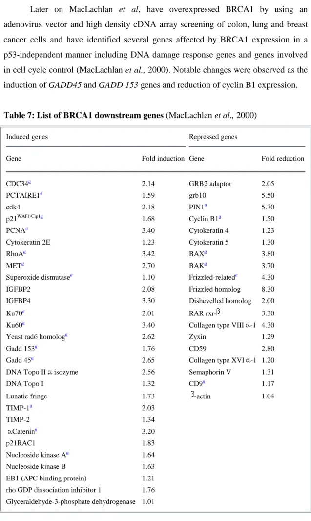 Table 7: List of BRCA1 downstream genes (MacLachlan et al., 2000) 