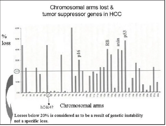 Figure 1.4: Frequency of LOH (Loss of Heterozygosity) vs. Chromosomal arms lost in HCC 