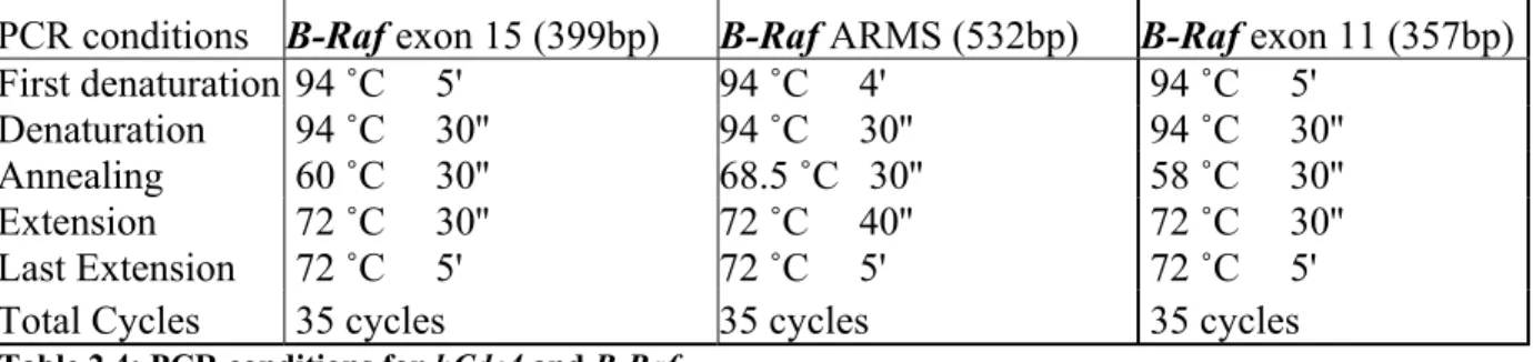Table 2.4: PCR conditions for hCdc4 and B-Raf. 