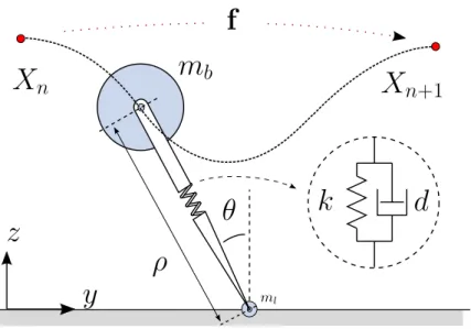 Figure 2.1: The Extended Spring-Loaded Inverted Pendulum (SLIP) model.