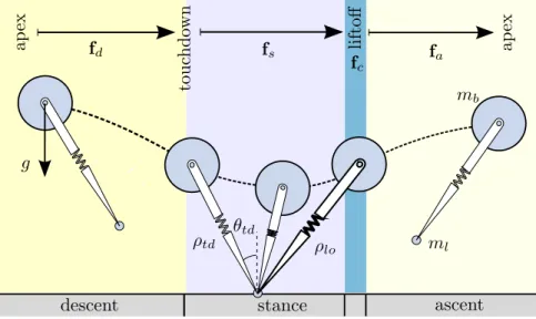 Figure 2.2: SLIP locomotion phases (shaded regions) and associated transition events (boundaries).