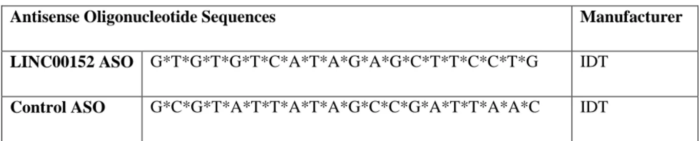 Table 1. List of ASO sequences used in the experiments (* stands for PS bonds) 