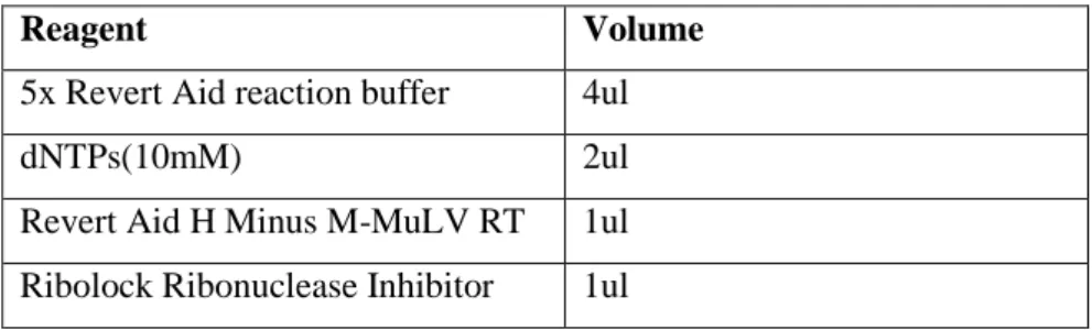 Table 4. Thermocycler program for cDNA synthesis. 