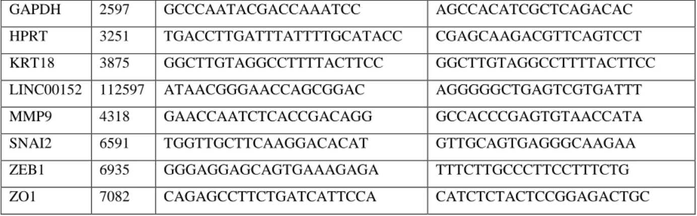 Table 7. qRT-PCR incubation program. 