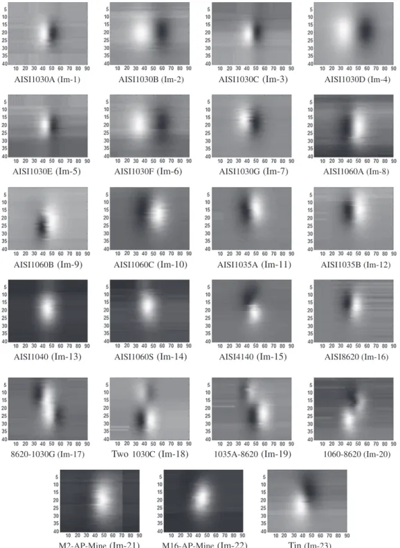 Fig. 6. Images of magnetic anomalies created by a couple of magnetic materials.
