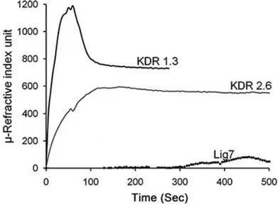 Fig. 7. ELISA of metal-afﬁnity-puriﬁed KDR1.3, KDR2.6, and Lig7 (HBsAg speciﬁc) scFvs