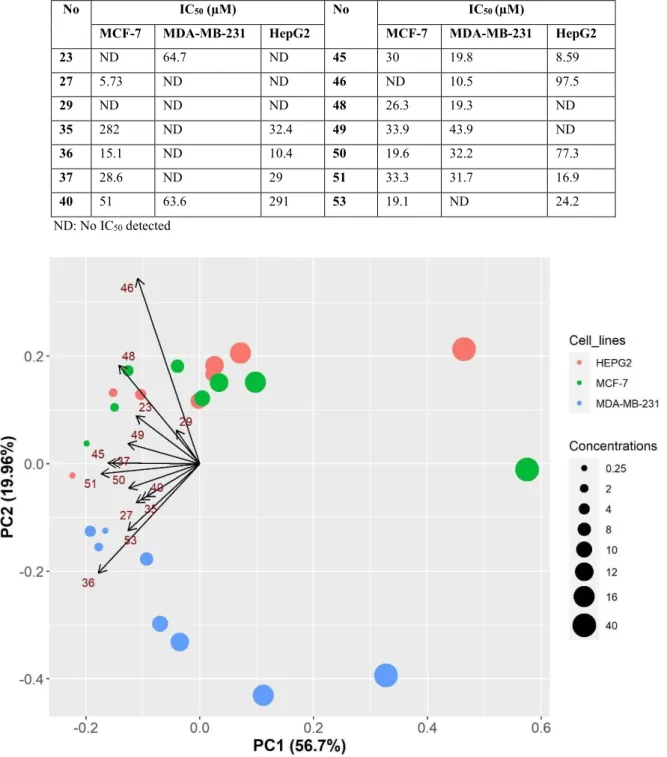 Table 4.2 IC 50  values (µM) for the candidate derivatives across the cell lines 