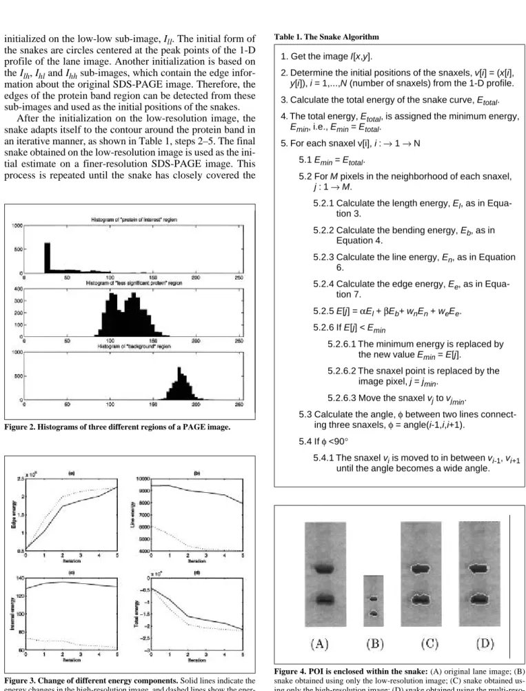 Figure 2. Histograms of three different regions of a PAGE image.