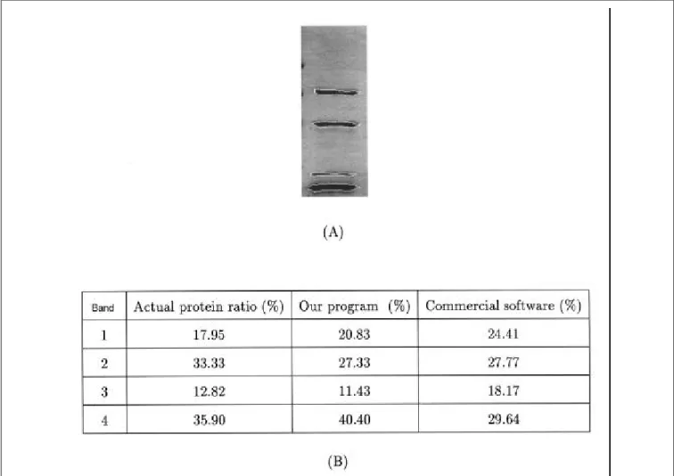 Figure 5 shows the results of the initialization procedure based on the edge information extracted from sub-images I lh , I hl and I hh 