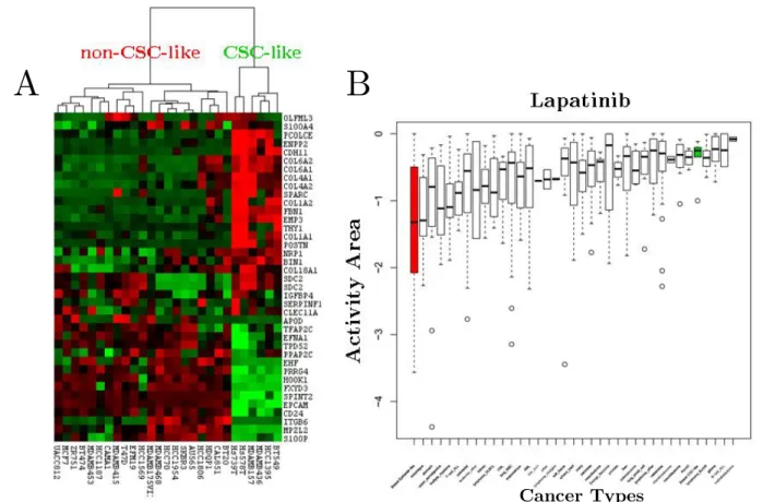 Figure 3.3: Hierarchical clustering of breast cancer cell lines in CCLE and global  effectiveness distribution of Lapatinib