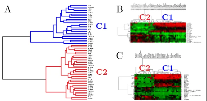Figure 3.5: Hierarchical clustering of CRC cell lines in CCLE and CGP databases. 
