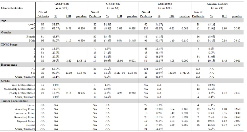 Table 3.1: Clinical Characteristics and univariate CoxPH analysis results for GSE17536, GSE17537, GSE41258  and Ankara cohort