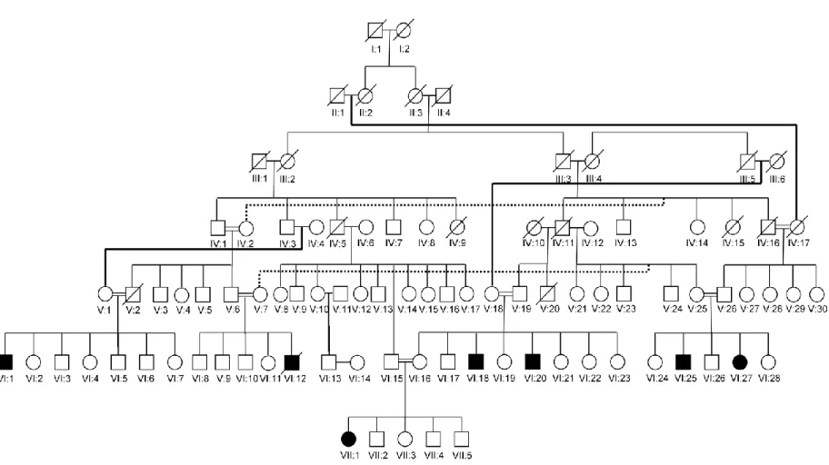 Figure 1.1 Pedigree of family A residing in southeastern Turkey. Filled symbols represent the affected individuals