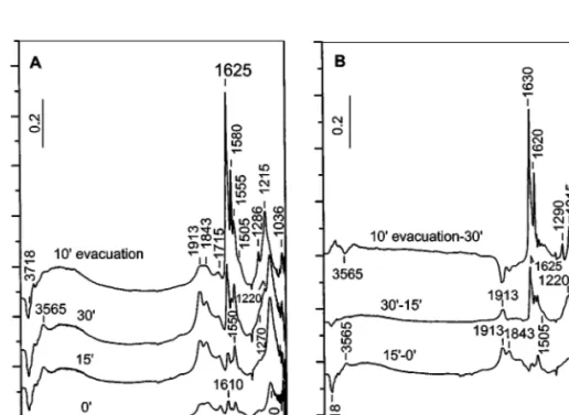 FIG. 1. (A) FTIR spectra of adsorbed NO (10 Torr) at room temperature on the activated TiO 2 sample for various times and after evacuation at room temperature for 10 min