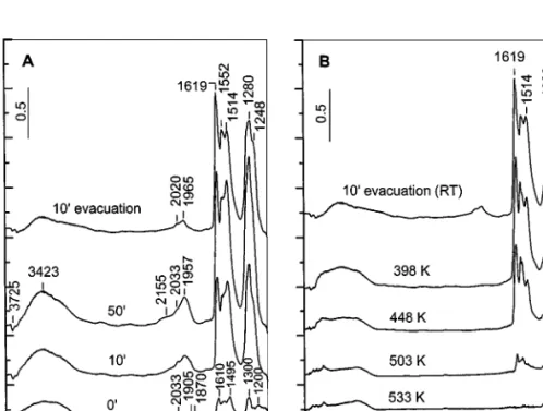 FIG. 4. (A) FTIR spectra of adsorbed NO/O 2 mixture (28 Torr, NO : O 2 = 1 : 4) at room temperature on the activated MnT–IE catalyst for various times and after evacuation at room temperature for 10 min