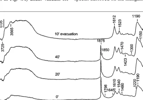 FIG. 5. FTIR spectra of adsorbed NO (10 Torr) at room temperature on the activated MnT–I catalyst for various times and after evacuation at room temperature for 10 min.