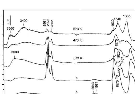 FIG. 7. FTIR spectra of the catalyst MnT–IE taken after adsorption of NO/O 2 mixture (40 Torr, NO : O 2 = 1 : 4) at room temperature followed by evacuation for 10 min (a), after adsorption of decane (0.6 Torr) on the NO x precovered catalyst followed by ev