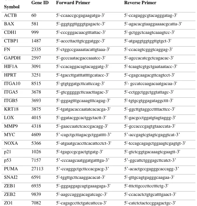 Table 3.6. Sequences of forward and reverse primers used in qRT-PCR analysis. 