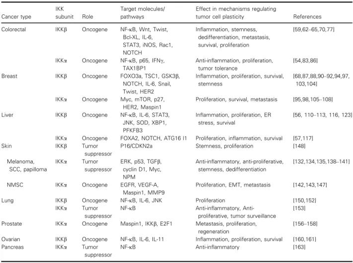 Table 1. Conventional and non-conventional targets/signaling pathways controlled by IKKs and their effects in tumor cell plasticity in different cancers