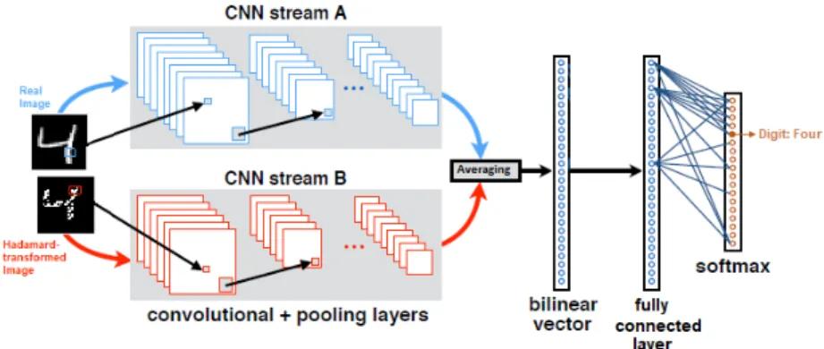 Figure 3.2: Our approach to combine BWN and HIN: The architecture of BWHIN [2].