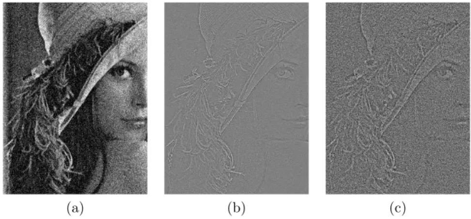Figure 2.1: (a) A noisy version of “Lena” image, (b) reconstruction of “Lena”