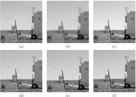 Figure 3.3: Comparison of deconvolution algorithms: (a) The test image from [1], (b) Observed image blurred by Gaussian filter with σ = 6