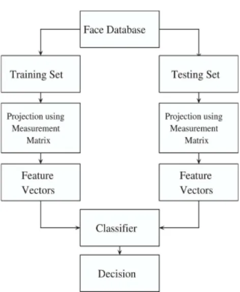 Fig. 1. Flowchart of the proposed approach
