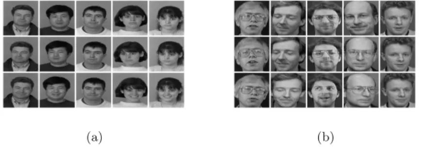 Fig. 2. Example images from the face databases: (a) Example images from the FERET database