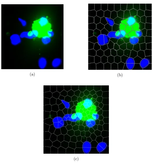 Figure 2.2: Comparison of [SLIC](b) and proposed multi-resolution super-pixels algorithm (c).