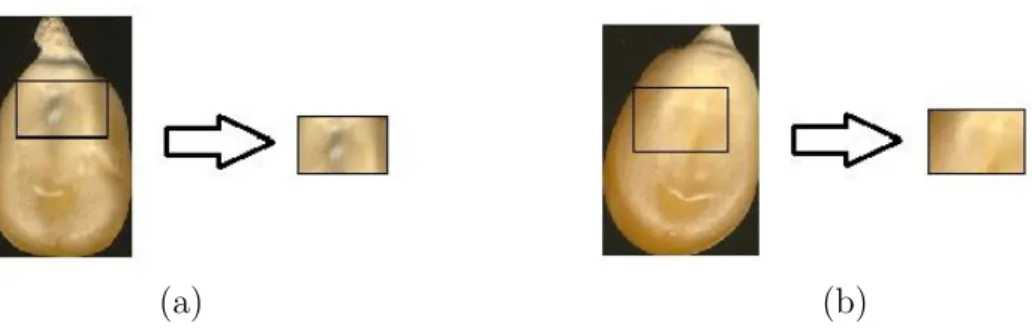 Figure 2.8: The cropping operation was performed in proportion to the size of each kernel image.