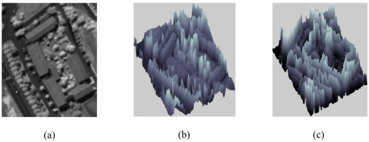 Figure 16-A. Illustration of mapping of the two-dimensional image data that consist of the  spectral channels or some other property of the pixels as an imaginary topographic relief so that  higher pixel values map to higher imaginary elevation levels