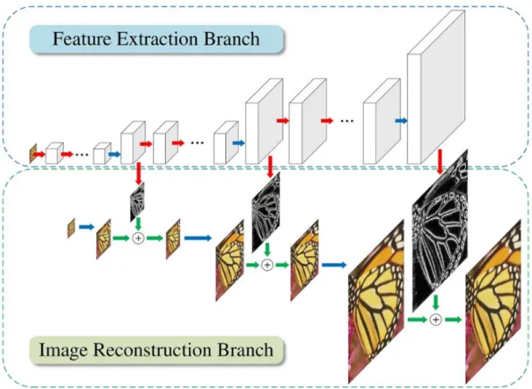 Figure 2.3: Architecture of Deep Laplacian Pyramid Networks [8]