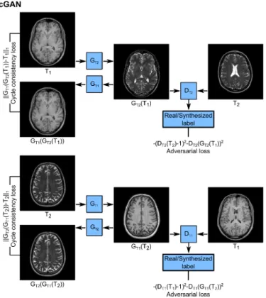 Fig. 2. The cGAN method is based on a conditional adversar- adversar-ial network with two generators (G T1 , G T2 ) and two discriminators (D T1 , D T2 )
