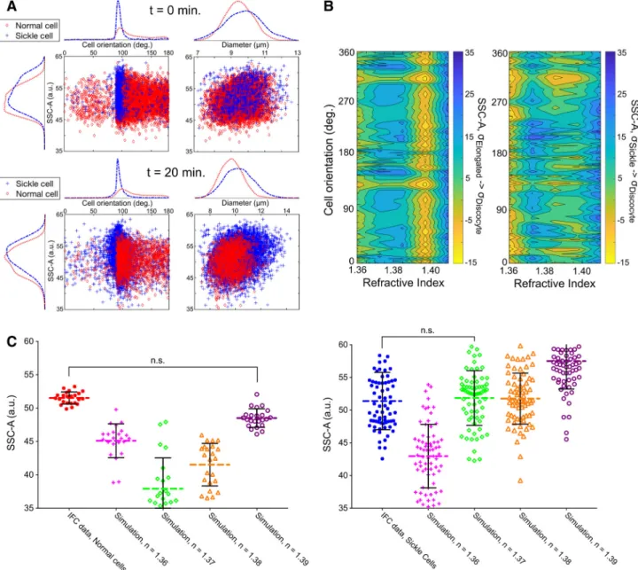Figure 4. Angle-resolved light scattering approach in IFC allows for label-free, noninvasive classi ﬁcation of morphological RBC subpopulation region boundaries in the deoxygenated SS-RBCs