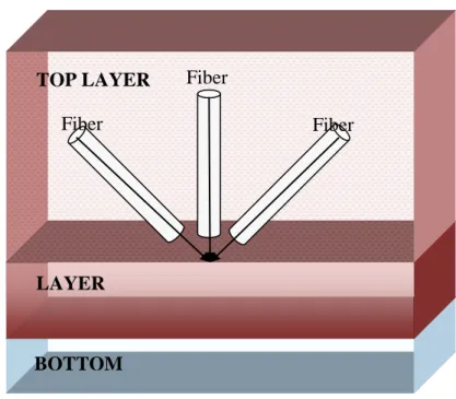 Figure  2.2–  The  proposed  fiber  orientation  to  imitate  RF  scars.  The  LAYER  phenomenon is used for light diffusion simulations (MCML code) of Wang et