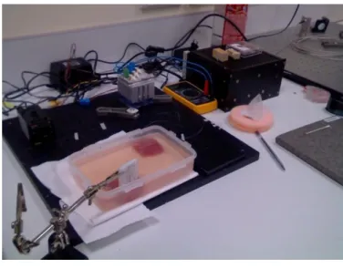 Figure  4.2.6  –  Overall  setup  for  laser  tissue  ablation  with hand-fan design 