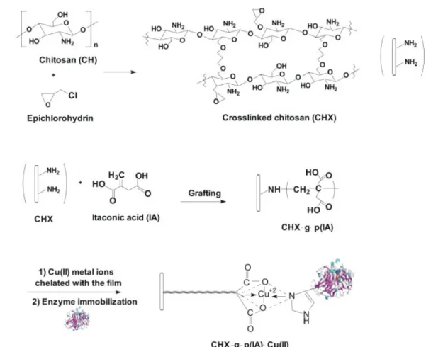 Figure 1. Chemistry of the support material.