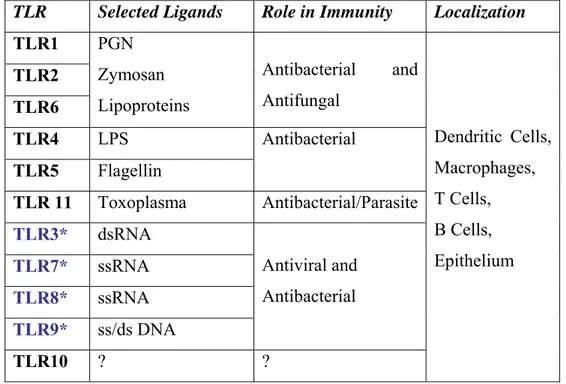 Table 1.1. Ligands specifity, immunological fate and cellular specifity of the Toll-like  receptors