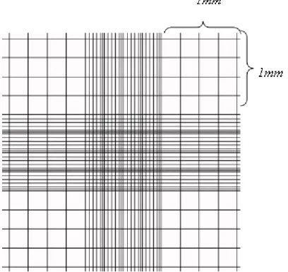 Figure 13. Neubaer cell counting chamber                                                                                                                                                                                                              