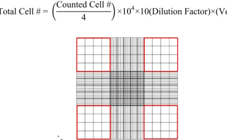 Figure  2.1.  Representative  picture  of  grids  in  hemocytometer.  Cells  residing  within the red squares were included in the counting
