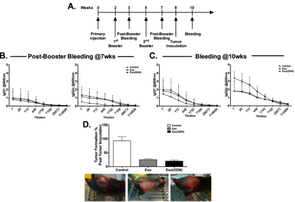 Figure 3.3. Exosomal CpG ODN immunization promotes Th1 biased immunity  and tumor clearance