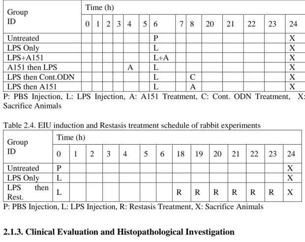 Table 2.4. EIU induction and Restasis treatment schedule of rabbit experiments  Group  ID  Time (h)  0  1  2  3  4  5  6  18  19  20  21  22  23  24  Untreated  P  X  LPS Only  L  X  LPS  then  Rest