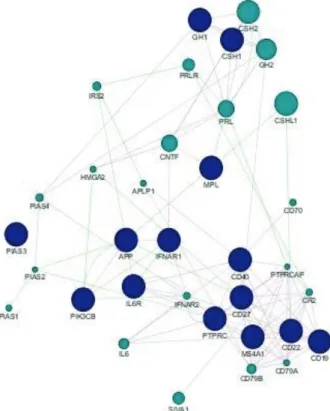 Figure 6. GeneMANIA generated network showing interaction  patterns of JAK/STAT pathway and CSC marker gene sets  based on coexpression and genetic interactions