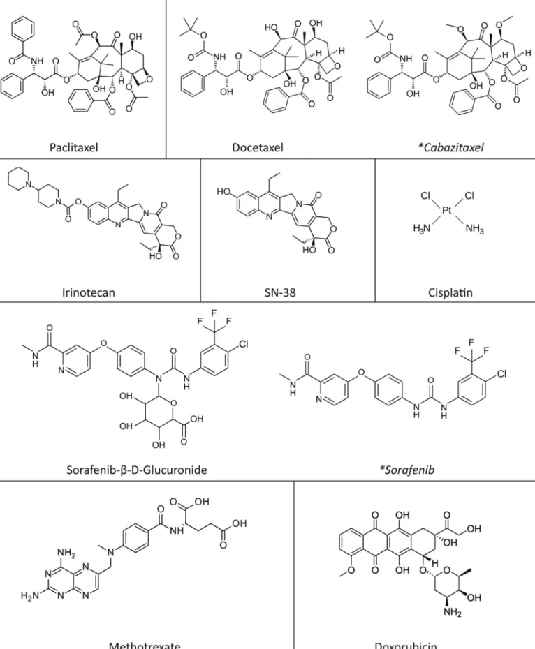 Fig. 2. Structures of anticancer drugs clearly affected by Oatp1a/1b activity in vivo