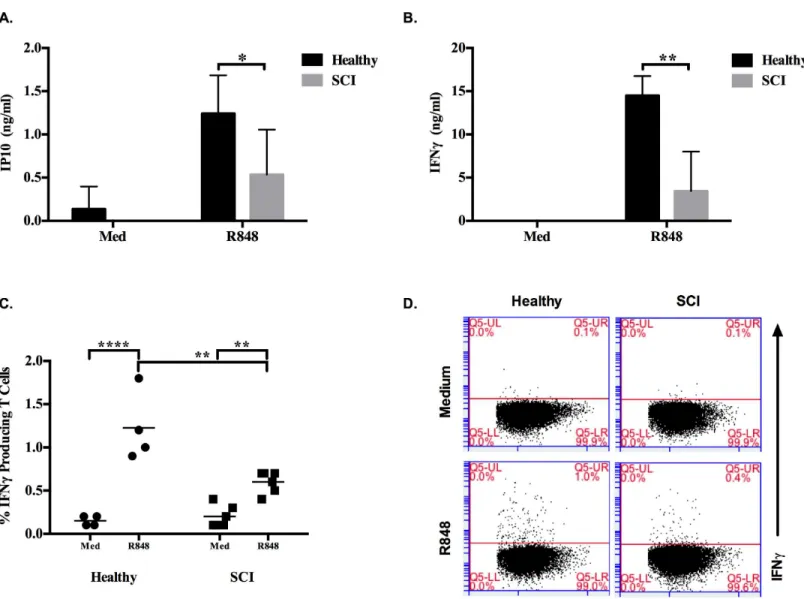 Fig 2. Healthy and SCI individuals show discrepant IFNγ production in response to TLR7 ligand stimulation