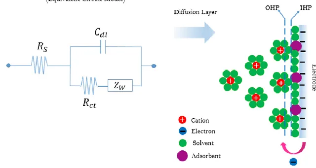 Fig. 1.7 indicates an electrified interface and its corresponding electrical circuit model  which  is  well-known  Randles  Circuit  [13]