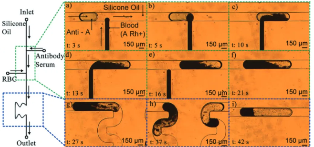 Fig. 3 Schematic drawing of the system and time-lapse optical micrographs of sample side injection into the droplets