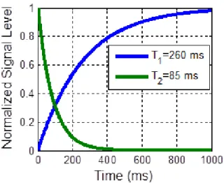 Figure 2.4: Longitudinal and transverse magnetization of a fat tissue for 1.5 T normalized to initial magnetization.